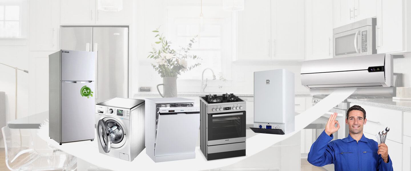 Çine Regal Servisi